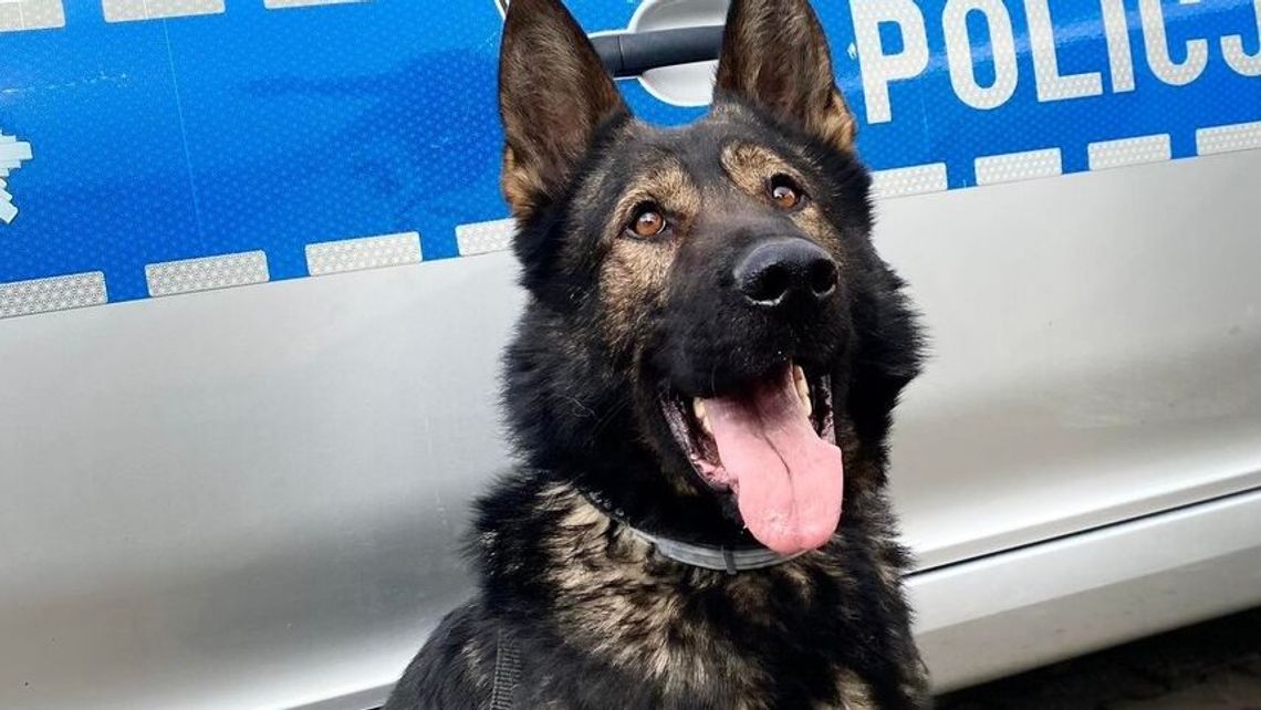 Rep zaczyna służbę w policji w Świdniku. Gabco po 11 latach idzie na emeryturę