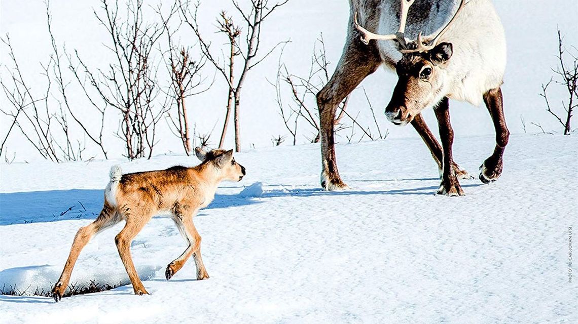 Repertuar kin i teatrów w weekend w Lublinie i regionie [06-08.12] 