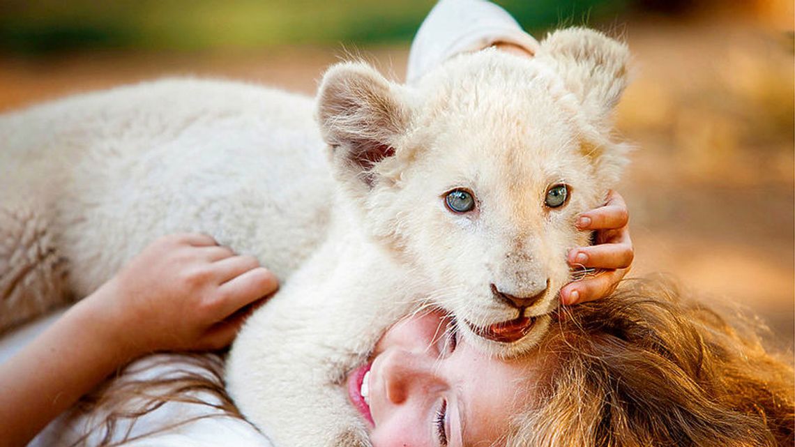 Repertuar kin i teatrów w weekend w Lublinie i regionie [1-3.02.2019]