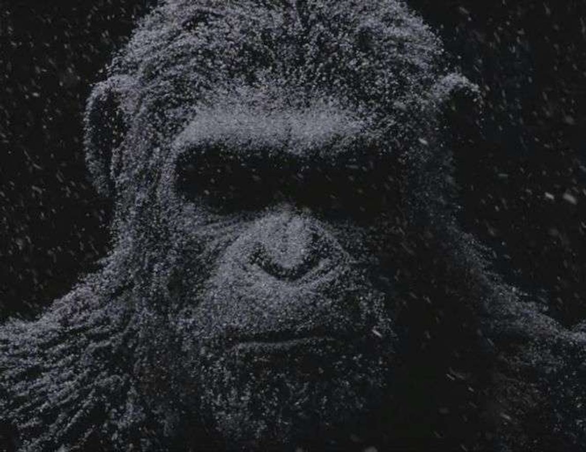 Repertuar kin i teatrów w weekend w Lublinie i regionie (28-30.07) Repertuar kin i teatrów w weekend w Lublinie i regionie (28-30.07)