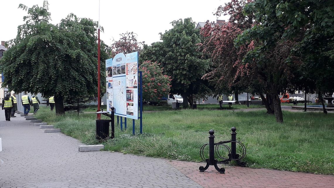 Rewitalizacja czyli wycinka totalna. 58 drzew pod topór  [zdjęcia]