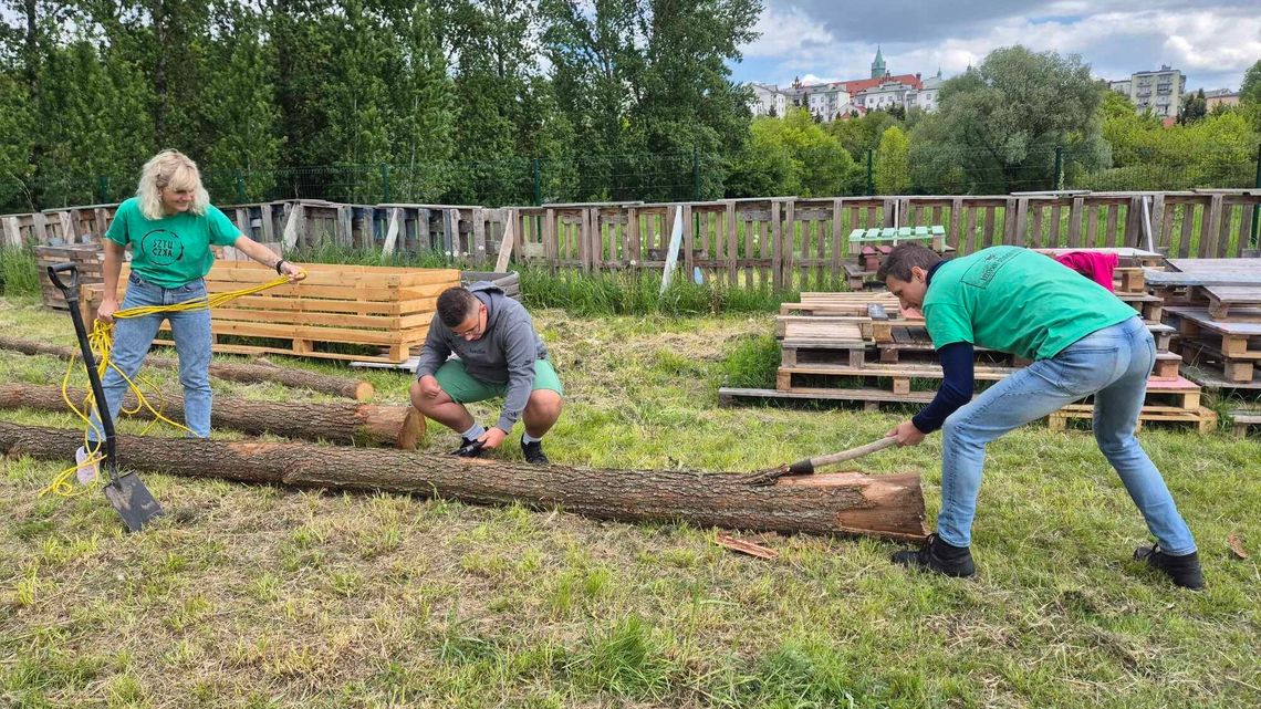 Rezerwat Dzikich Dzieci - przyjdź, miej swój wkład w budowę 