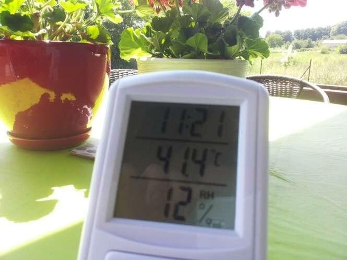 "Róbmy postoje i schładzajmy auta". Porady dla kierowców na upalne dni "Róbmy postoje i schładzajmy auta". Porady dla kierowców na upalne dni