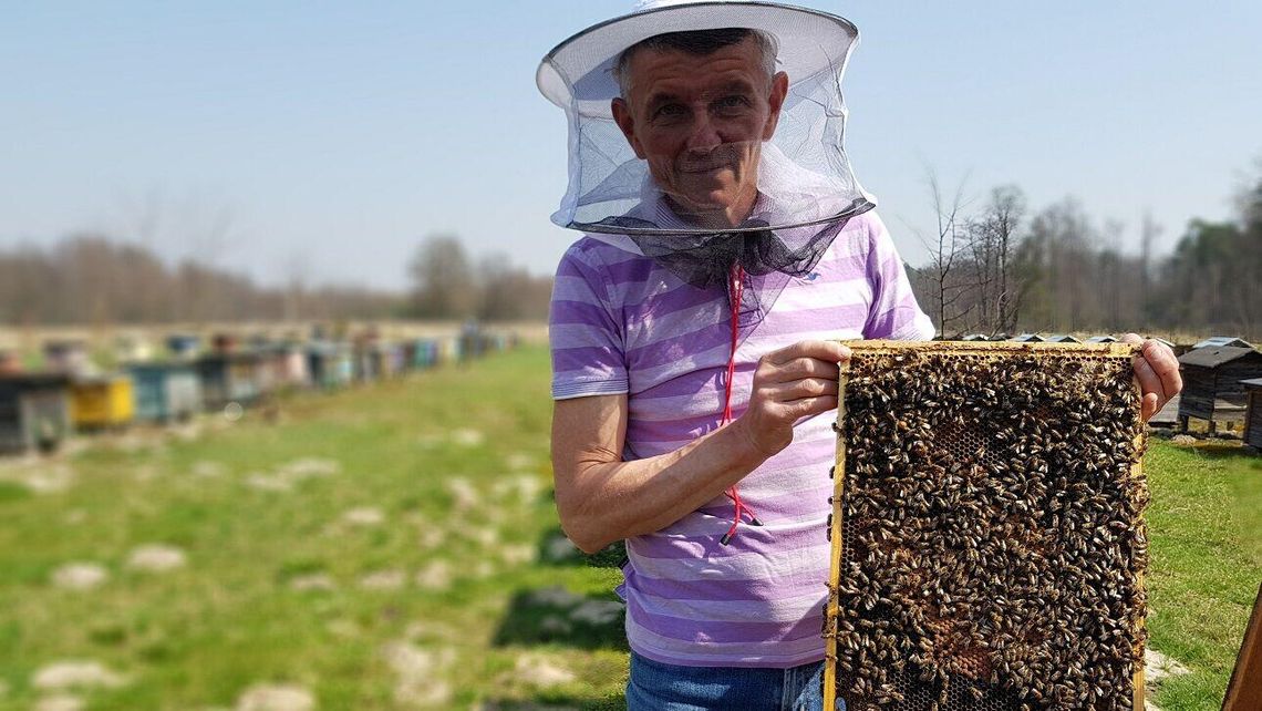 Rodzina pana Artura zajmuje się pszczołami od 120 lat. Na tym można zrobić biznes
