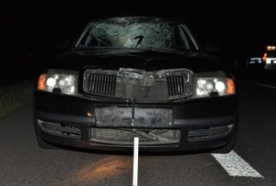 Rogoźnica: Pieszy zginął pod kołami auta