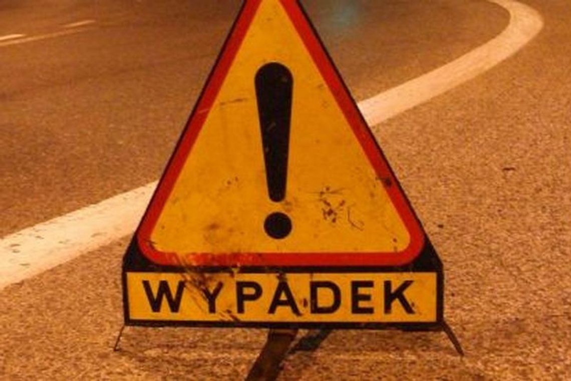 Rogoźnica. Renault wjechało w drzewo