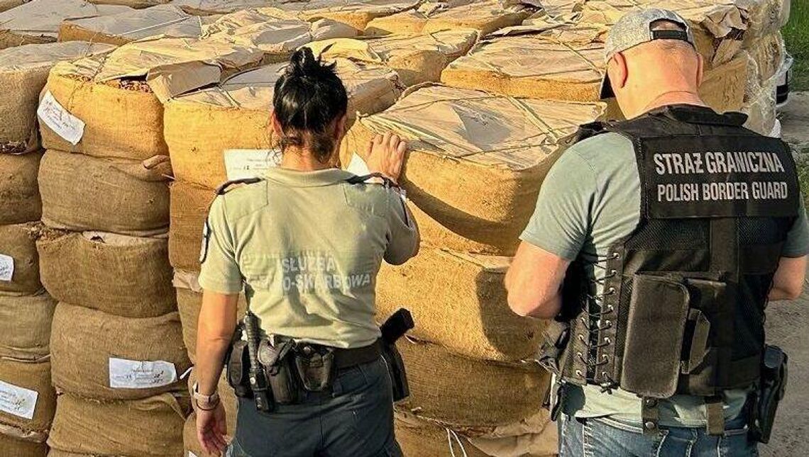 Rok na granicy: papierosy, narkotyki, gaz i trylobity Rok na granicy: papierosy, narkotyki, gaz i trylobity