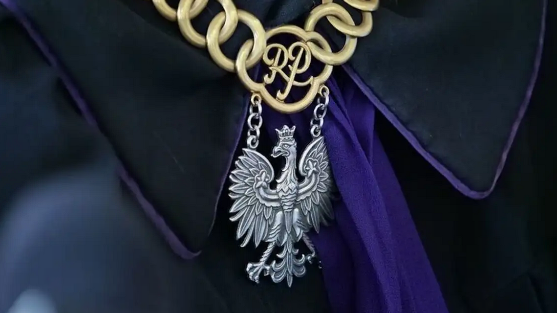 Rok więzienia za katowanie i zabicie kota. Wyrok prawomocny