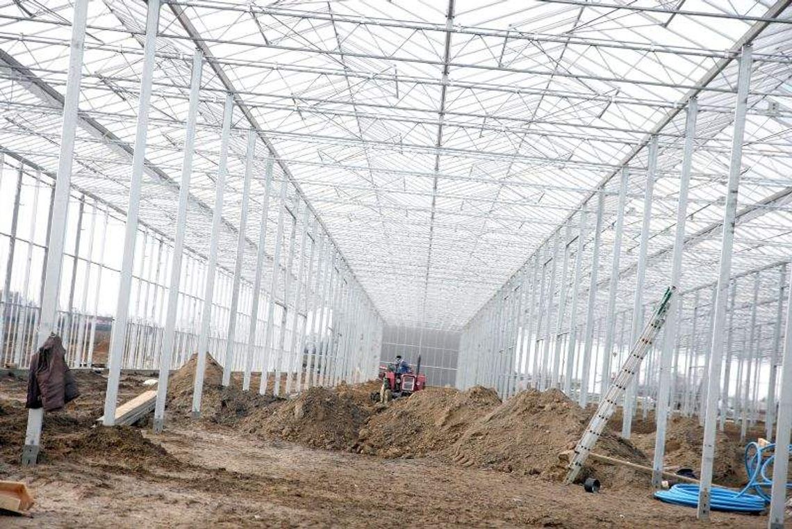 Rolnicy inwestują w nowoczesne skomputeryzowane szklarnie (wideo)