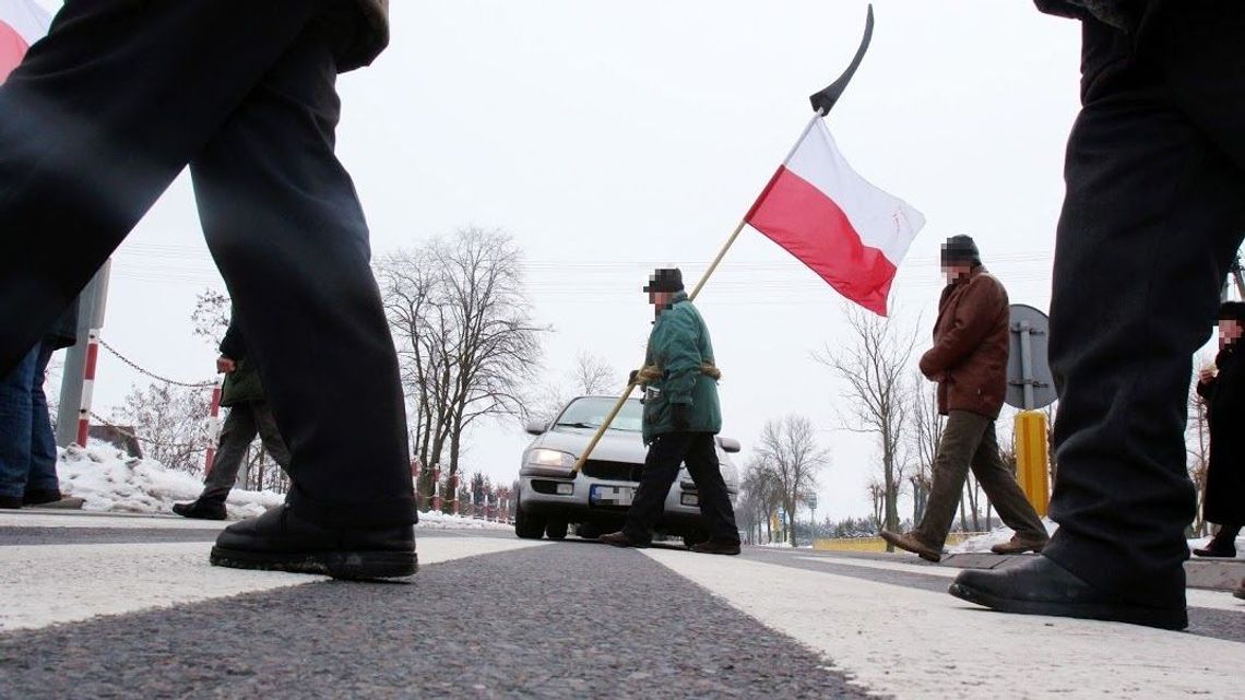 Rolnicy mają protestować przeciwko "Piątce dla zwierząt". "Będą liczne blokady dróg"