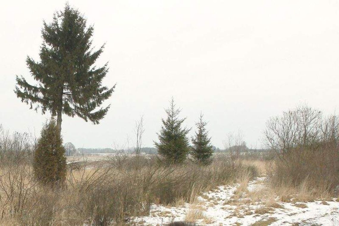 Rolnicy nie chcą budowy elektrowni. "Spadnie nam wartość nieruchomości"