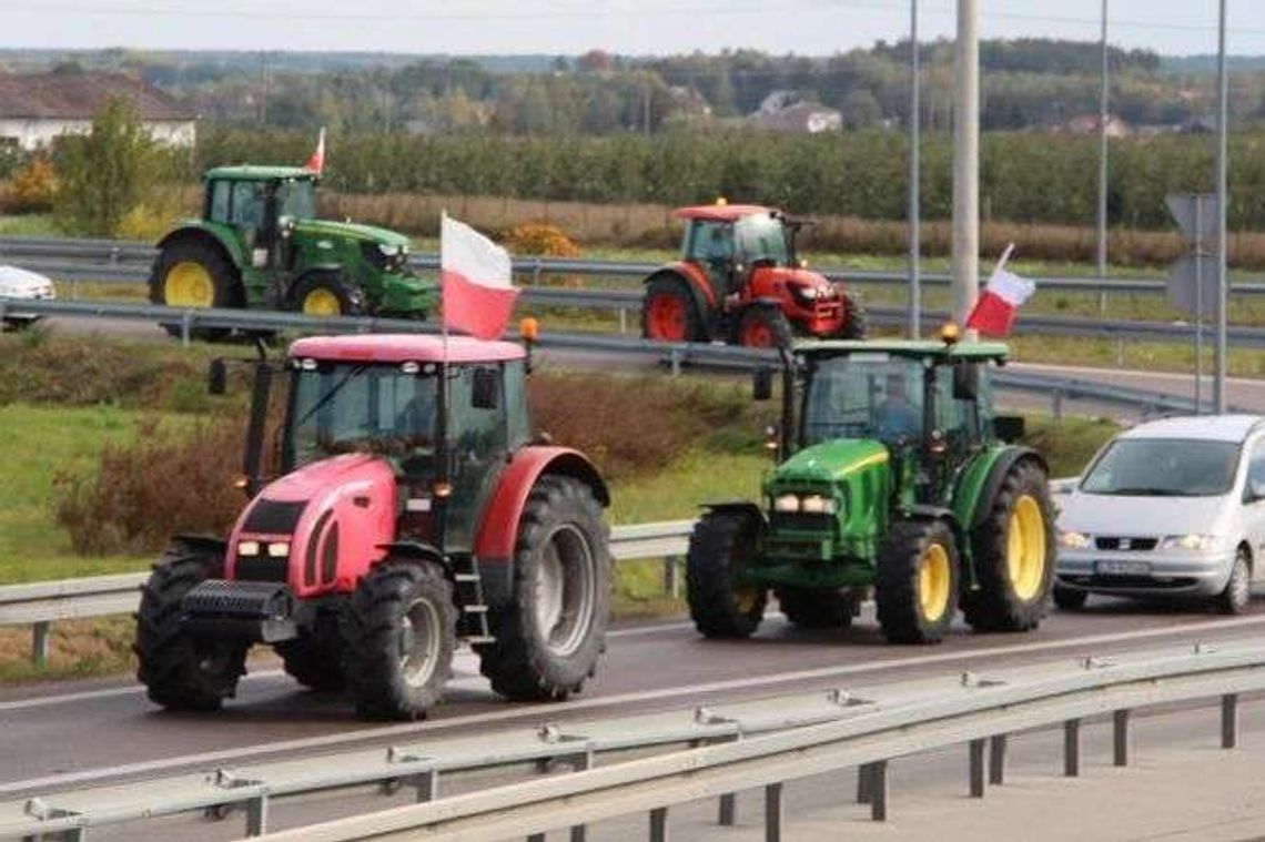 Rolnicy protestowali spowalniając ruch na drodze. Chcą konkretów w sprawie ASF