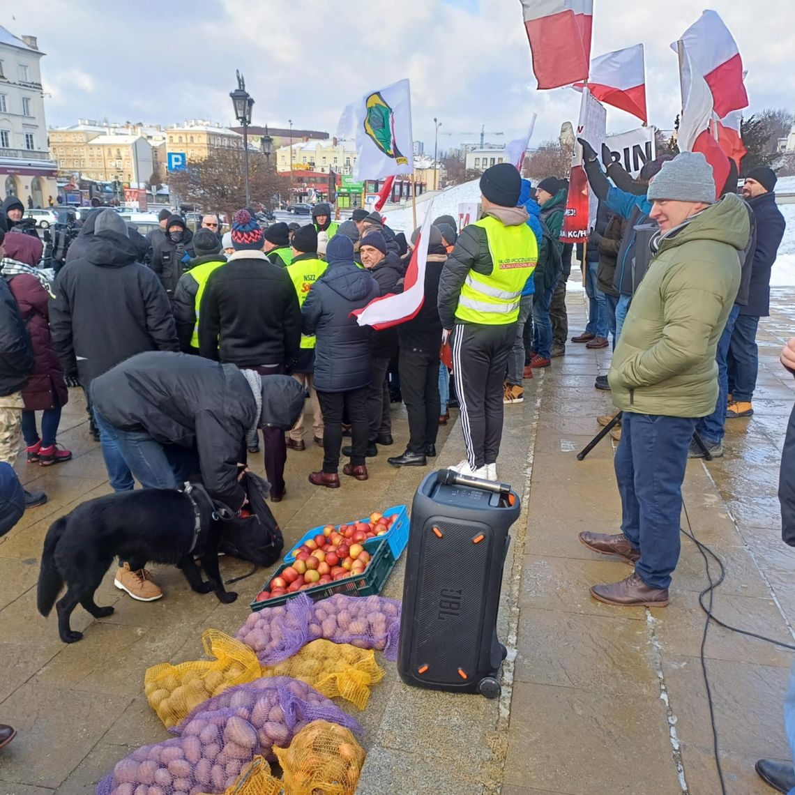 Rolnicy rozdają cebulę i protestują. „Zginęlibyśmy bez polskiej żywności”
