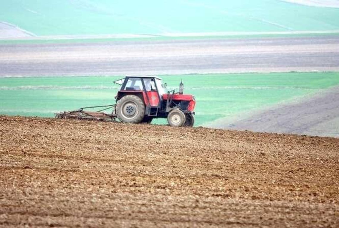 Rolnik bez ubezpieczenia? Dostanie mniej za straty w czasie suszy Rolnik bez ubezpieczenia? Dostanie mniej za straty w czasie suszy