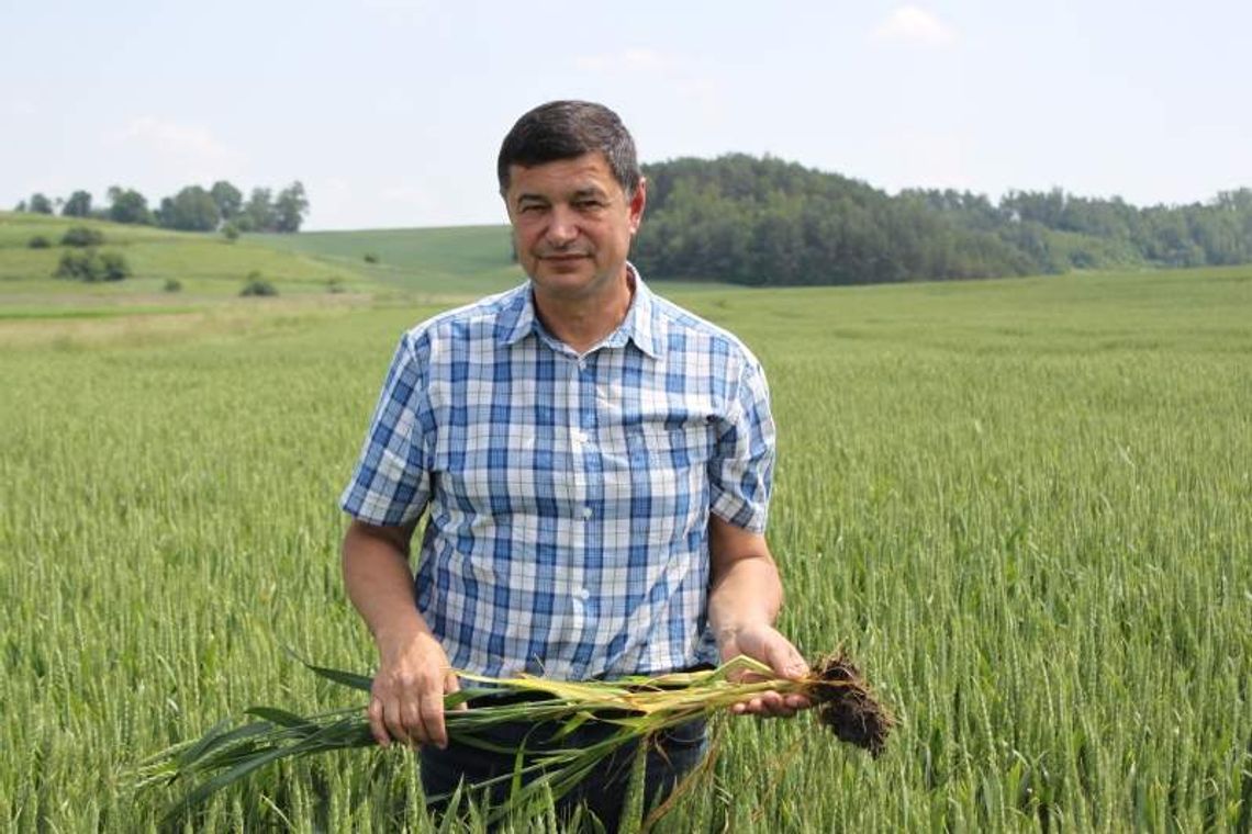 Rolnik nie orze ze względu na morze Rolnik nie orze ze względu na morze