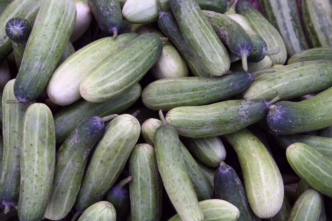 Rolnik pyta, ekspert odpowiada Rolnik pyta, ekspert odpowiada