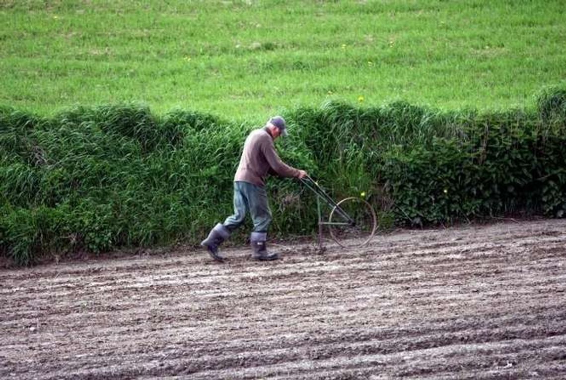Rolnik w potrzebie, ale pomocy odmawia. "Nikt nie chce go mieć na sumieniu"