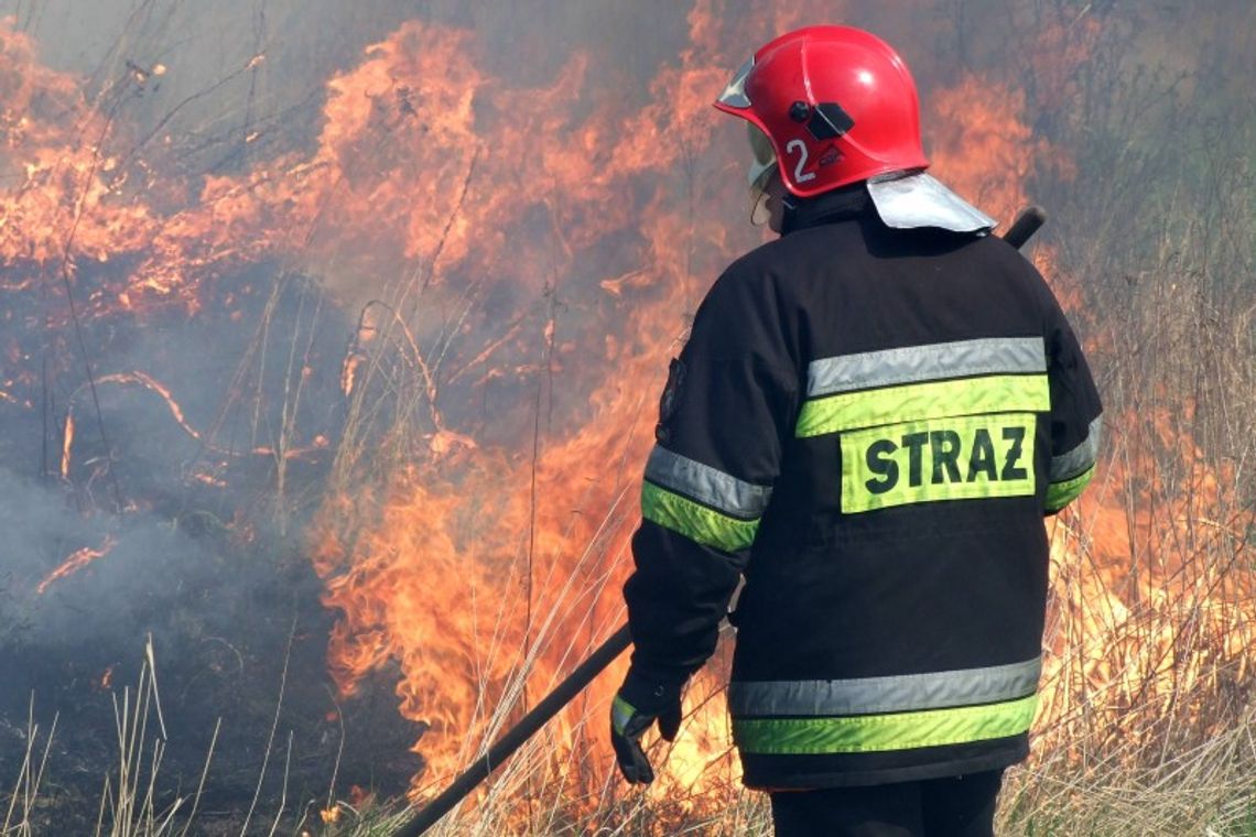 Rolniku, nie wypalaj traw, bo stracisz dopłaty