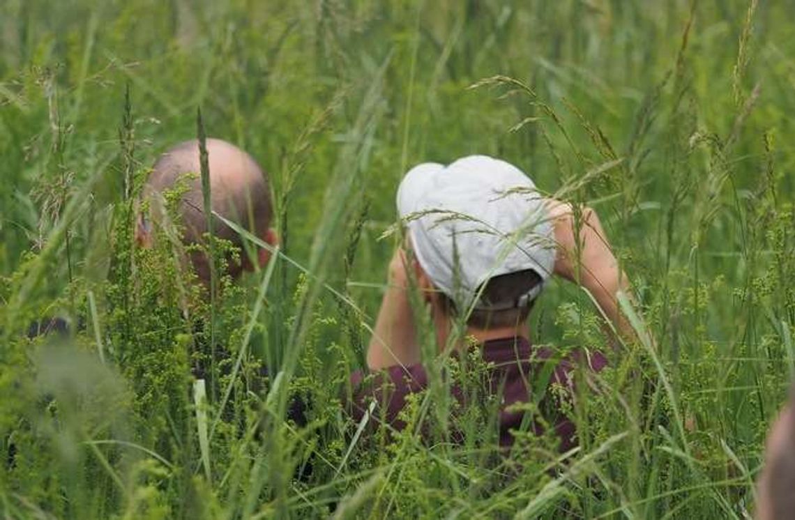 Rolniku, spiesz się do ARiMR. Do kiedy można złożyć wnioski o dotacje?