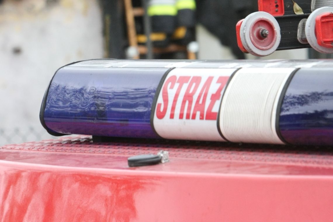 Romanów: Zwłoki mężczyzny w spalonym domu