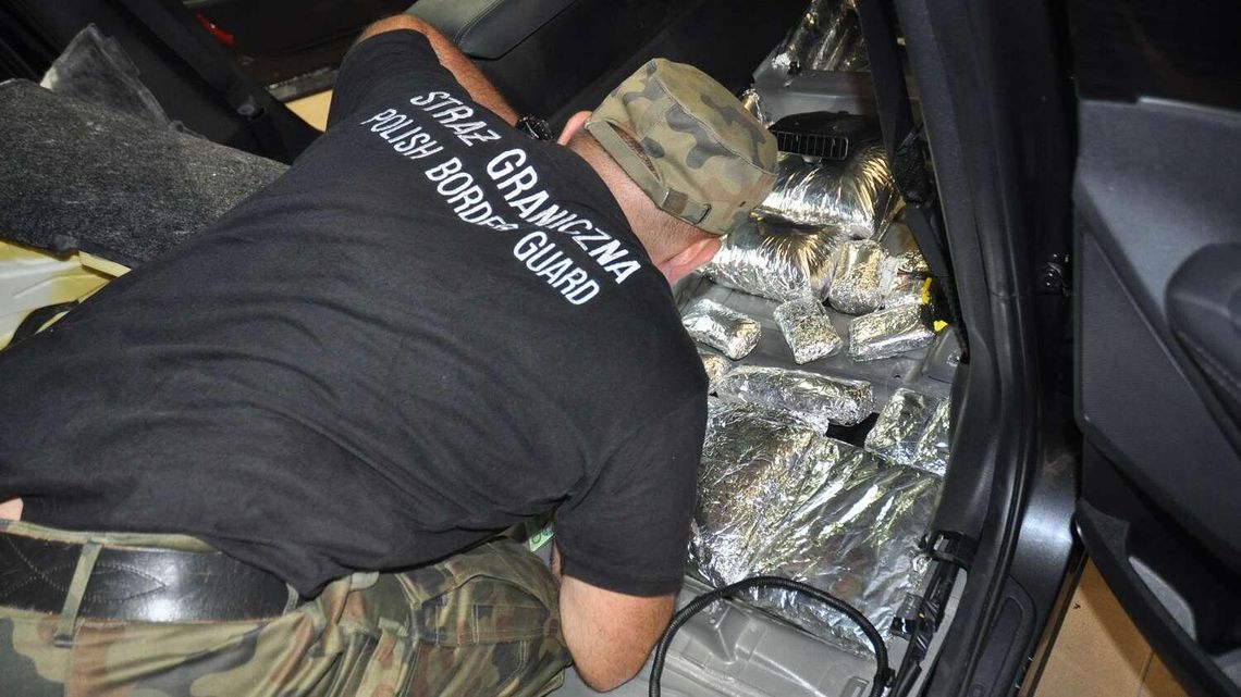 Rosjanie wieźli haszysz wart miliony złotych [wideo, zdjęcia]