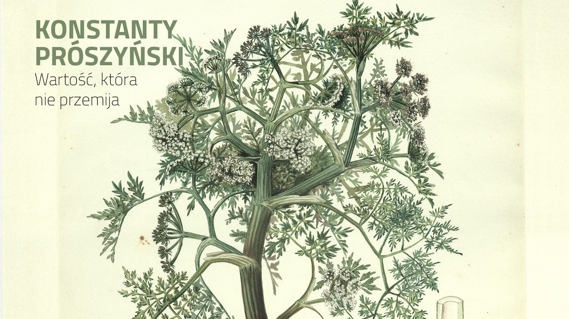 Rośliny na stuletnich akwarelach. UMCS zaprasza Rośliny na stuletnich akwarelach. UMCS zaprasza