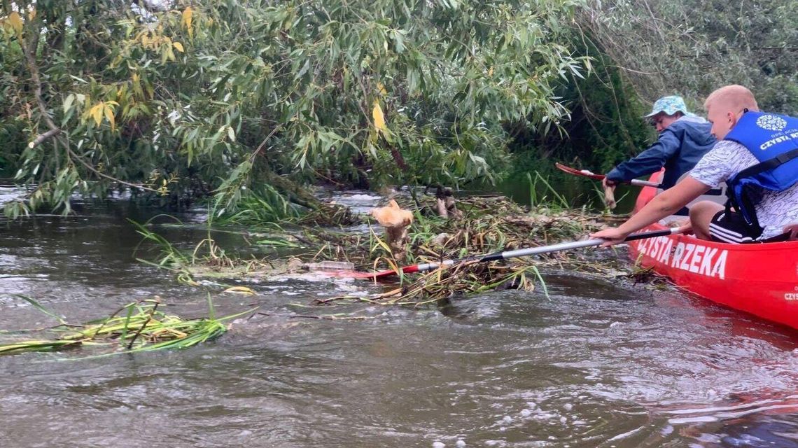 Rower, opiekacz, opony samochodowe. Wyciągnęli z rzek 210 ton śmieci Rower, opiekacz, opony samochodowe. Wyciągnęli z rzek 210 ton śmieci