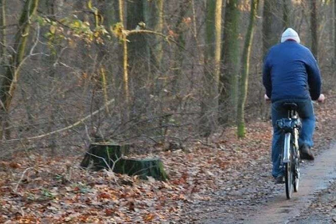 Rowerem dookoła Poleskiego Parku Narodowego. Powstaną nowe ścieżki