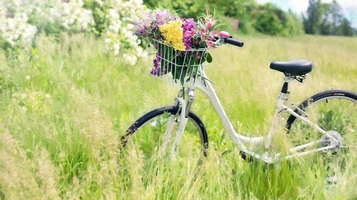 Rowerem z Lublina do Lasów Kozłowieckich. Nowa ścieżka