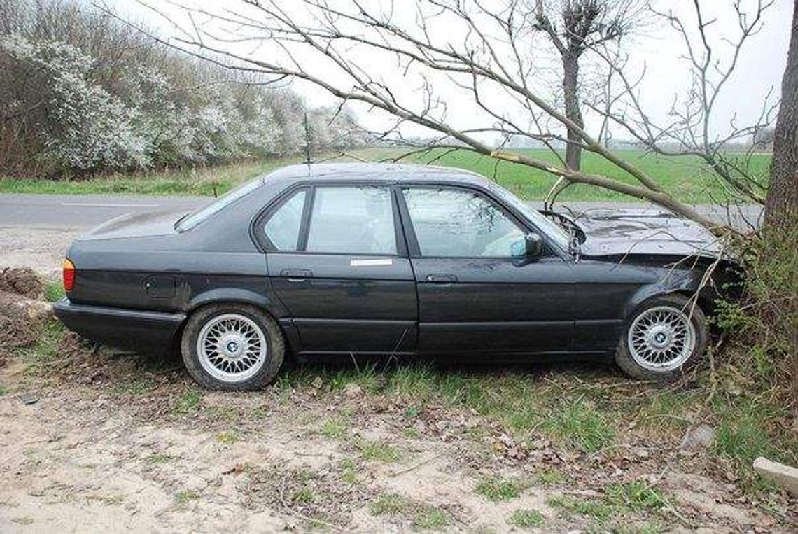Rowerzysta wymusił pierwszeństwo, BMW wjechało w drzewo