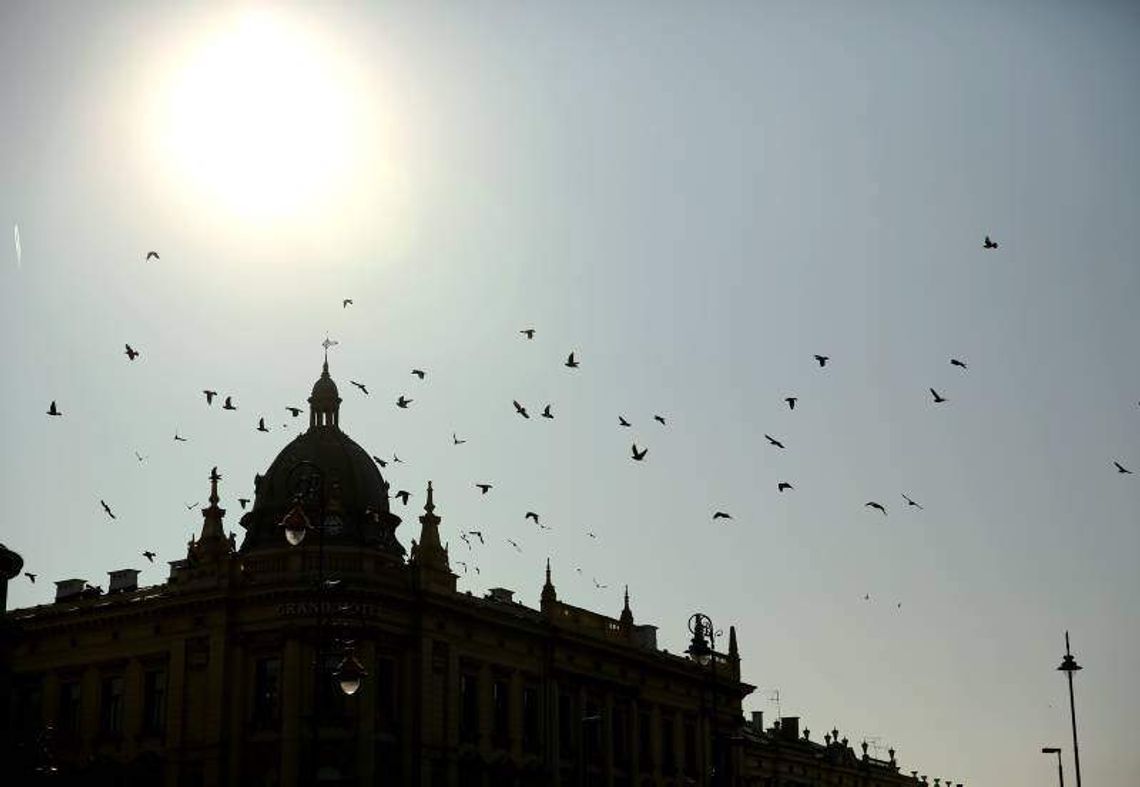 Równonoc wiosenna. Początek astronomicznej wiosny już dziś o 17.57