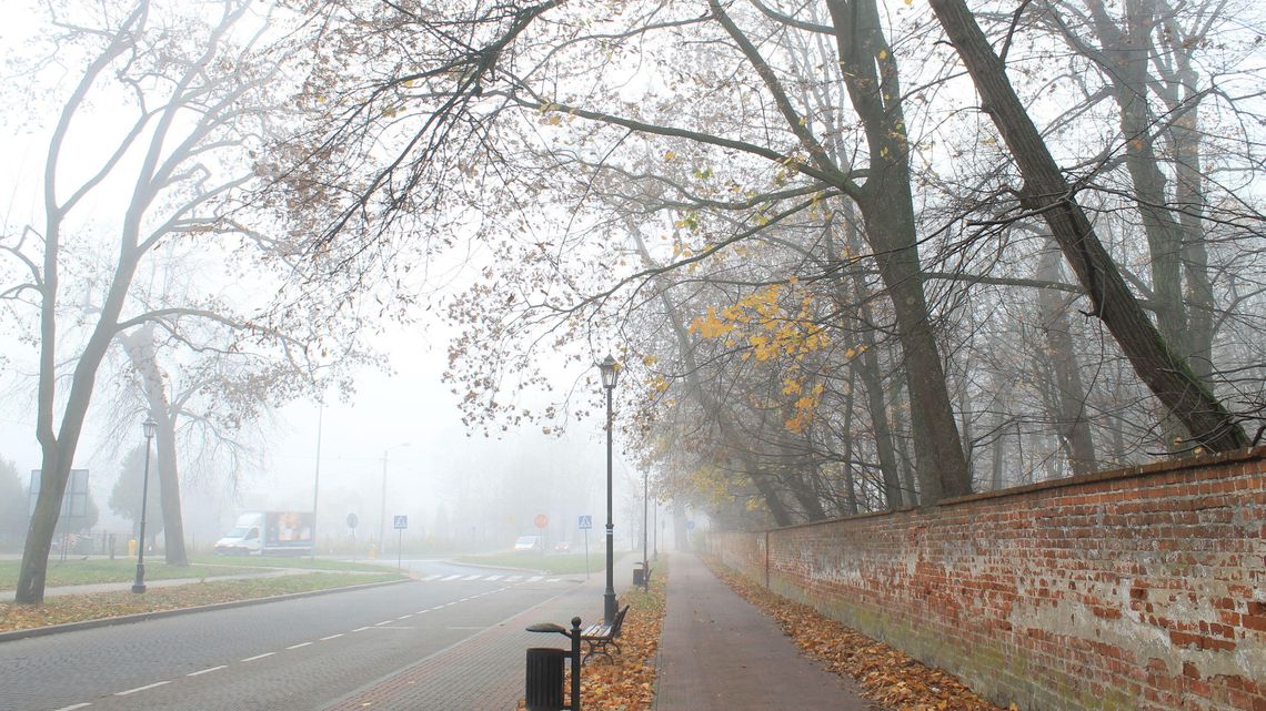 Rozbój w Parku Czartoryskich w Puławach