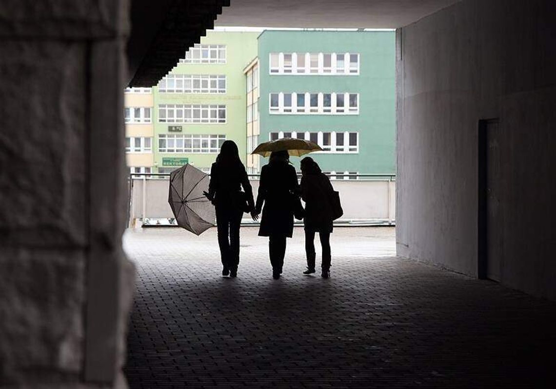 Rozdzielili stypendia dla studentów i doktorantów Rozdzielili stypendia dla studentów i doktorantów