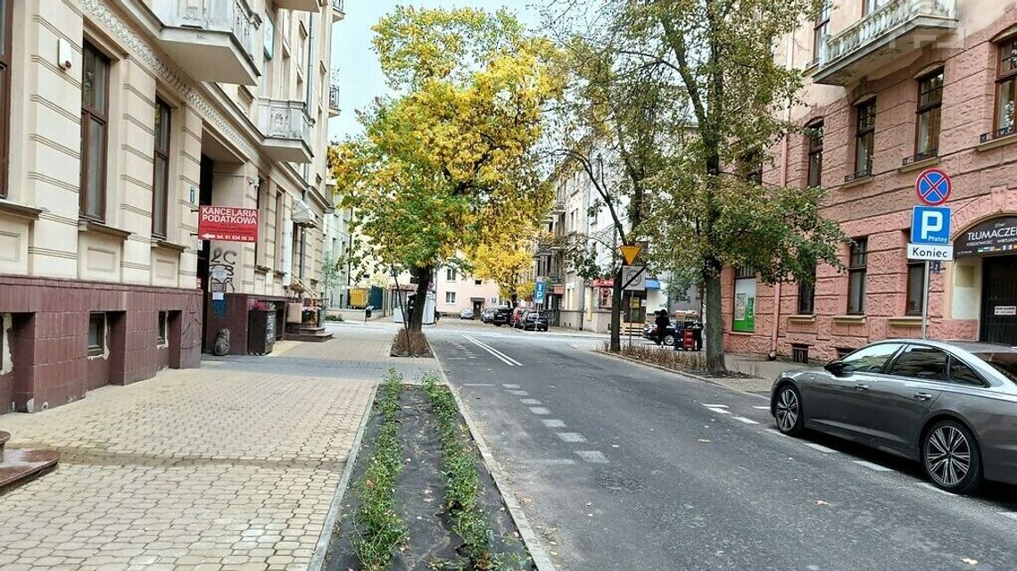 Róże i lipy zamiast kostki. Serce Lublina bije na zielono 