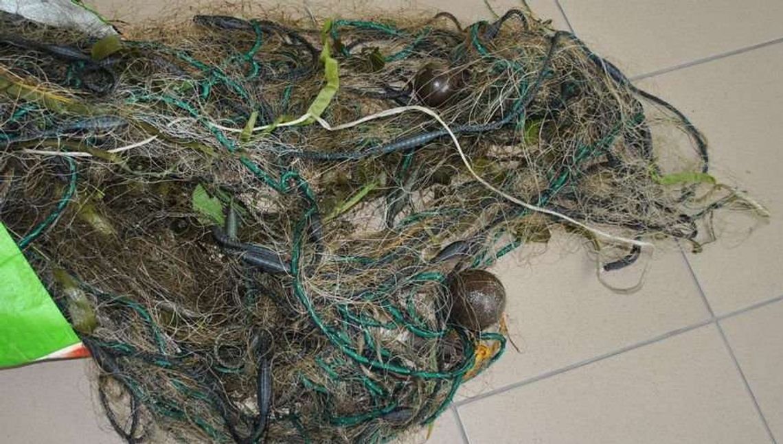 Rozłożyli siatkę na rzece, grozi im więzienie