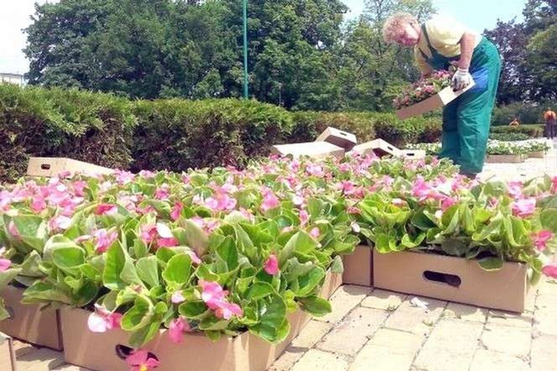 Rozmowy o mieście: Spotkanie z Miejskim Architektem Zieleni