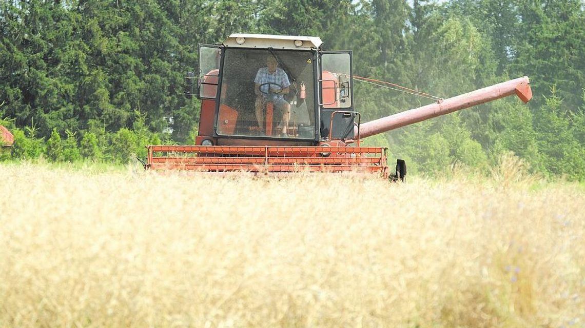 Rozpoczął się Powszechny Spis Rolny 2020. Jakie pytania może usłyszeć rolnik? Rozpoczął się Powszechny Spis Rolny 2020. Jakie pytania może usłyszeć rolnik?