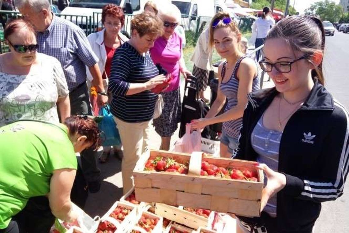 Rozpoczął się sezon na truskawki. Ceny na targowiskach (zdjęcia)