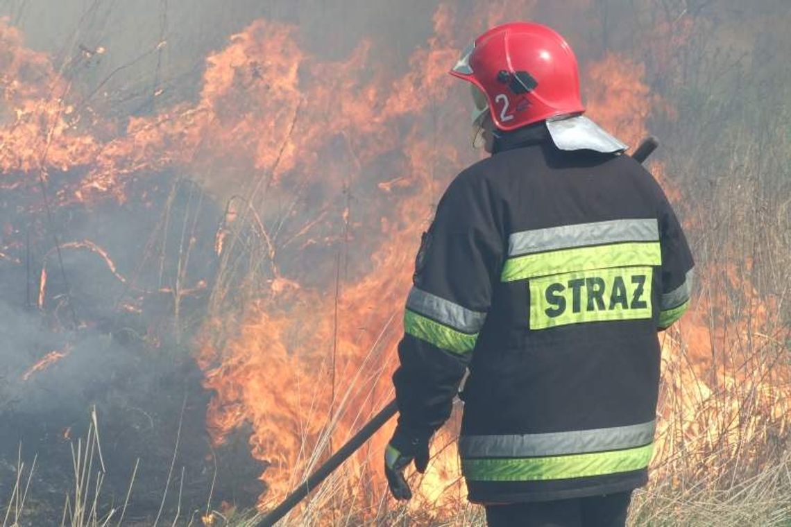 Rozpoczął się sezon na wypalanie traw, strażacy ostrzegają
