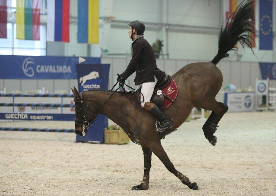 Rozpoczęła się Cavaliada: 250 koni, 100 zawodników (wideo, zdjęcia)