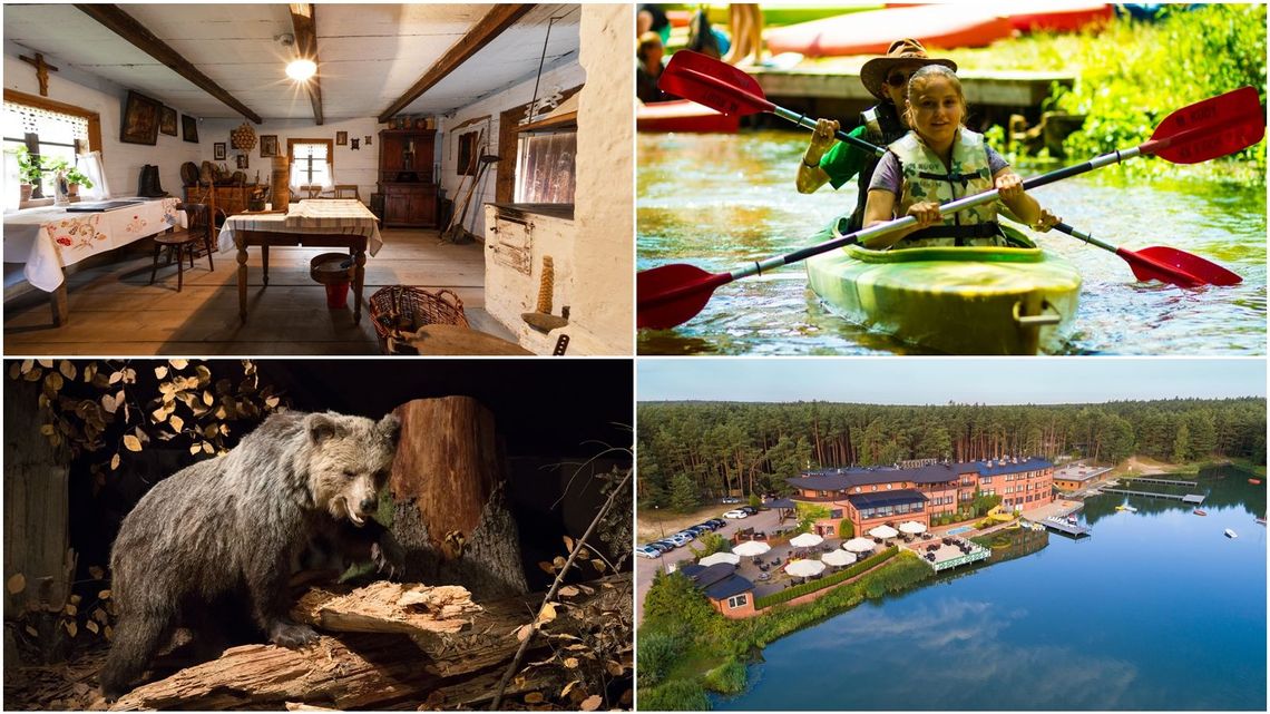 Roztocze buduje swoją markę. W sezonie letnim region odwiedziło więcej osób [zdjęcia]