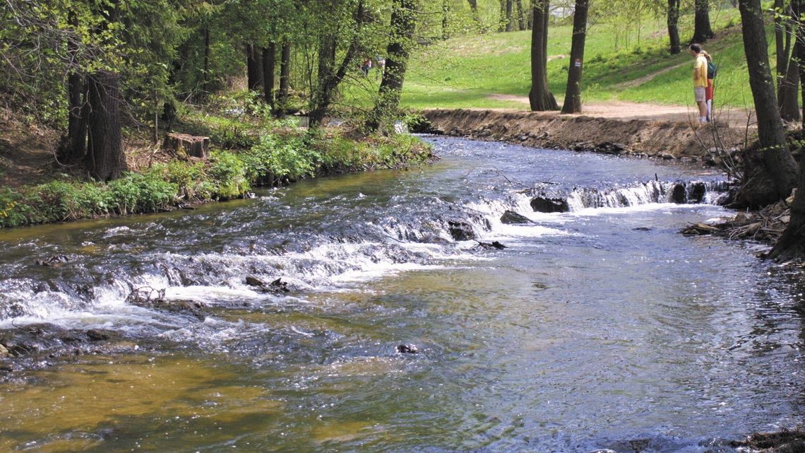Roztocze chce mieć swój euroregion. Polacy i Ukraińcy podpisują umowę