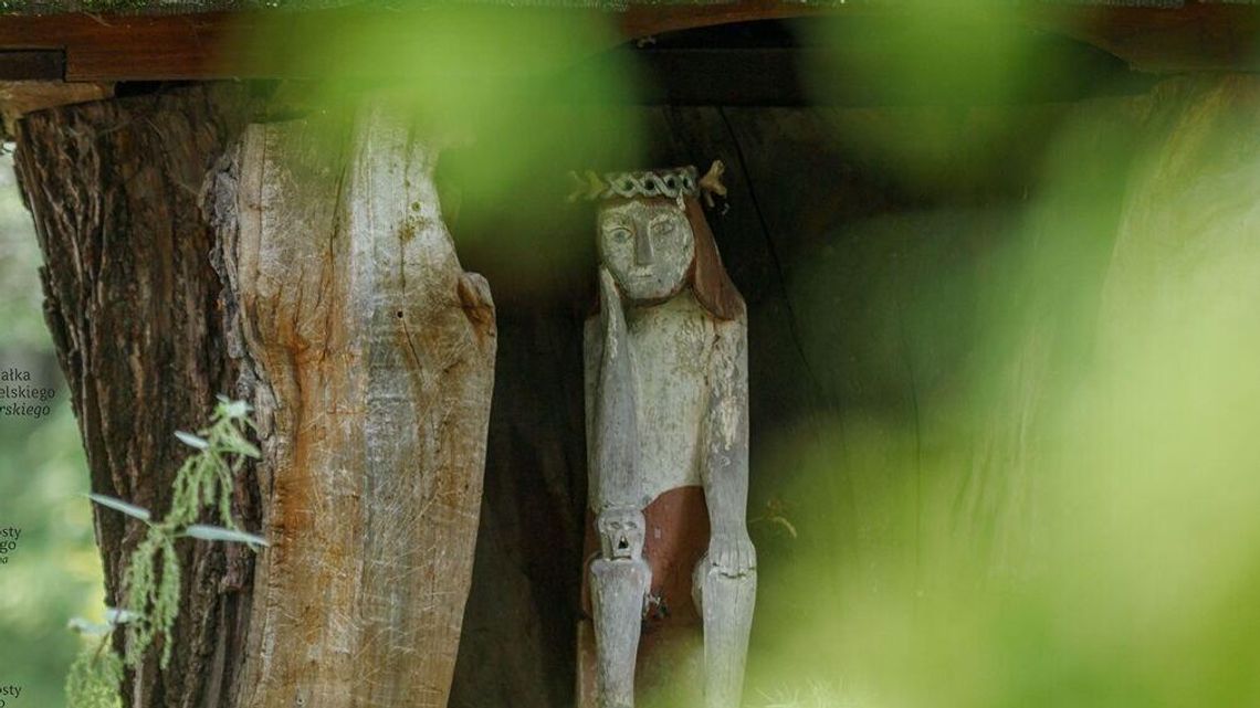 Roztocze jest piękne. Zobacz to na zdjęciach