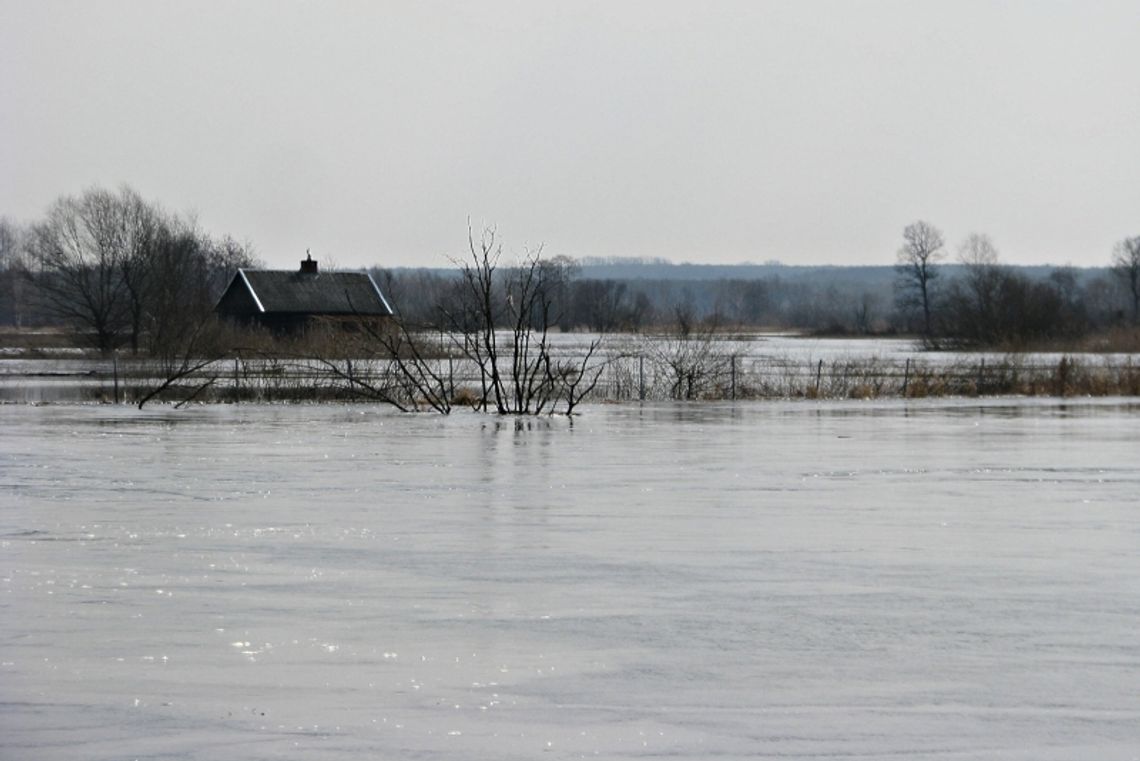 Roztopy zalewają domy i posesje. 90 interwencji strażaków Roztopy zalewają domy i posesje. 90 interwencji strażaków