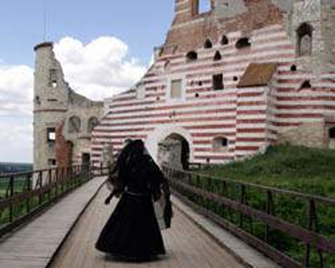 Ruiny zamku w Janowcu (nr 59) - 1 głos