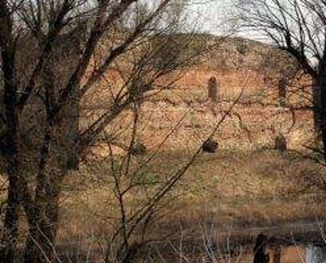 Ruiny zamku w Kryłowie (nr 18) - 11 głosów