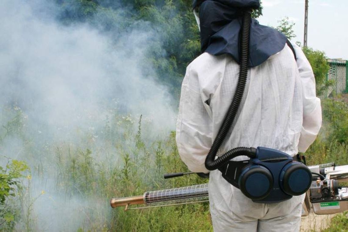 Rusza akcja odkomarzania w Puławach