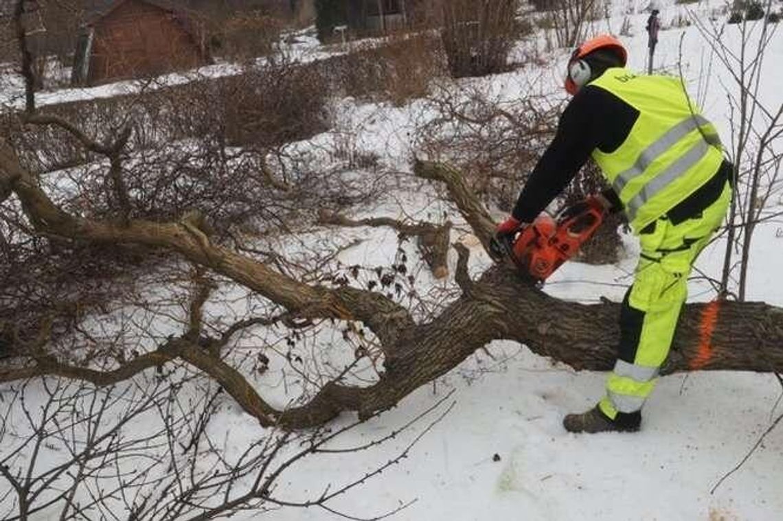 Rusza budowa przedłużenia ul. Bohaterów Monte Cassino. Zaczęli wycinać drzewa