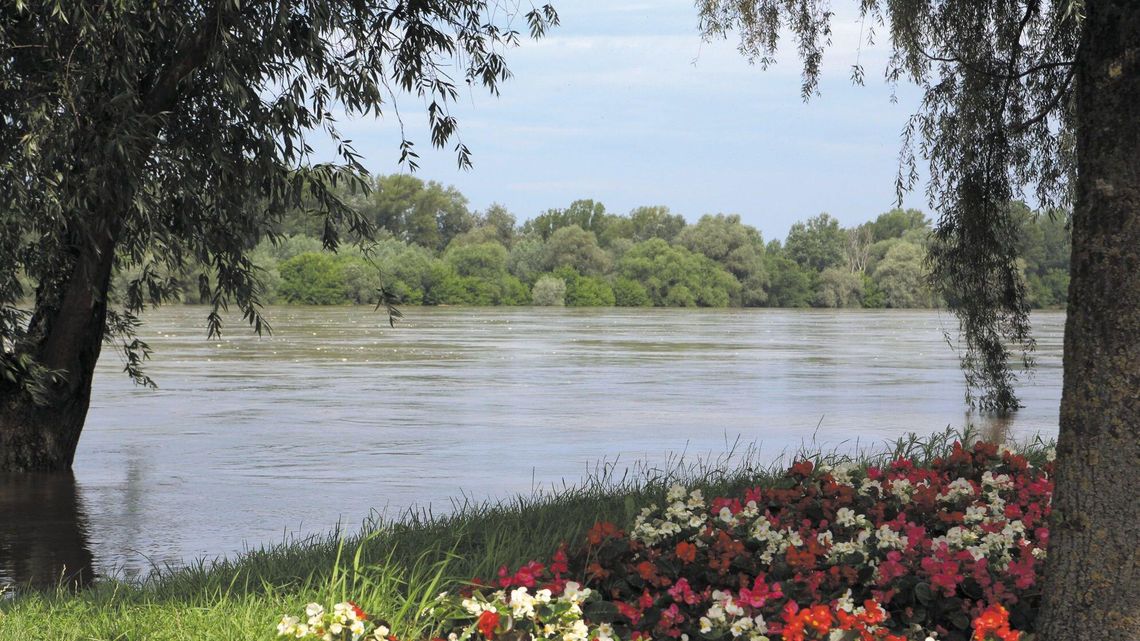 Rusza druga faza odkomarzania w Puławach