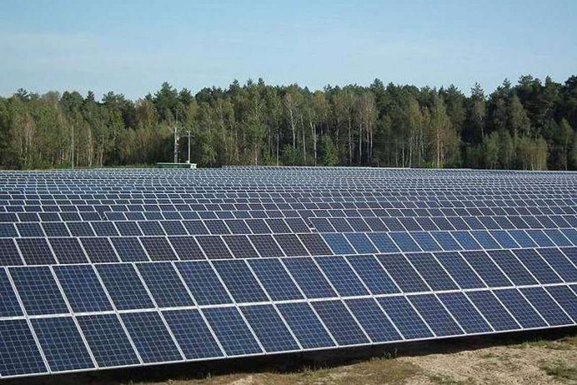 Rusza jedna z największych elektrowni słonecznych w Polsce